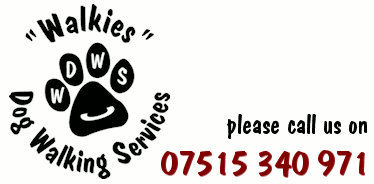 'Walkies' Dog Walking Services. Call us on 07515 340 971