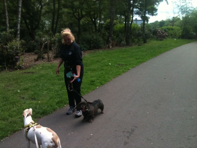 “Walkies” Dog Walking Services 07515 340 971 - Gallery image