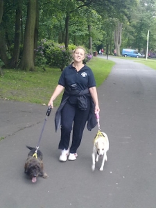 “Walkies” Dog Walking Services 07515 340 971 - Gallery image