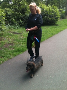 “Walkies” Dog Walking Services 07515 340 971 - Gallery image