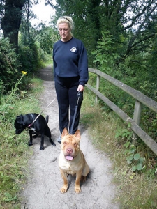 “Walkies” Dog Walking Services 07515 340 971 - Gallery image