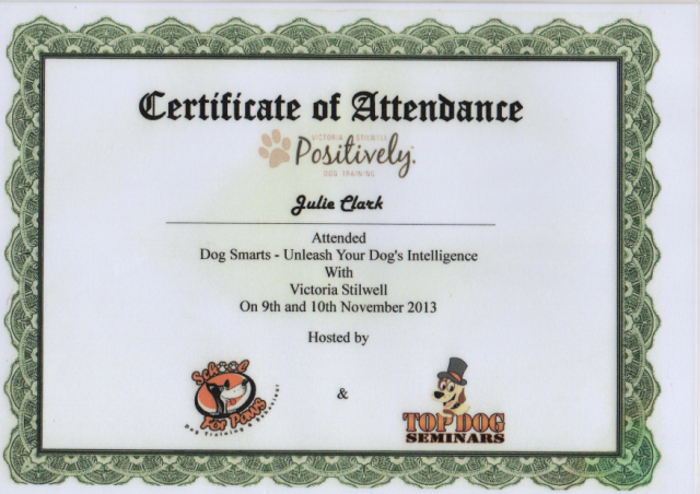 “Walkies” Dog Walking Services 07515 340 971 - Certificate 8