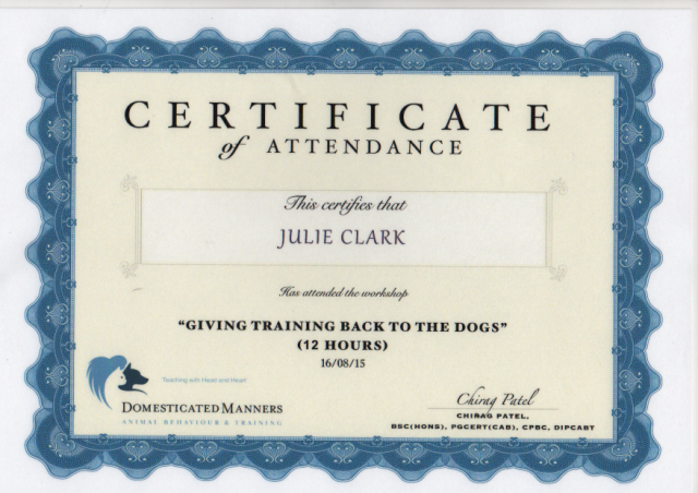 “Walkies” Dog Walking Services 07515 340 971 - Certificate 11