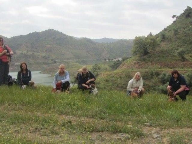 Training abandoned pets in Spain